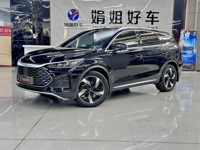 Tang DM 2024 Honor Version DM-i 112KM Honor Type