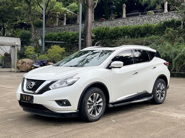 Loulan 2019 2.5L XL 2WD Intelligent Luxury Edition State V