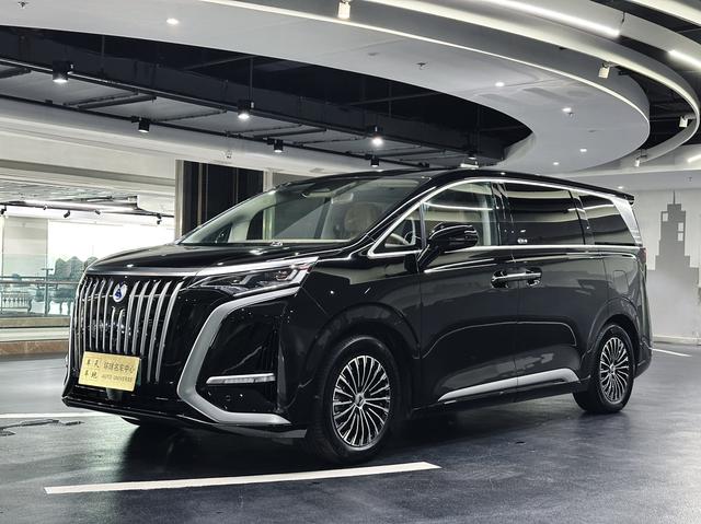 Tengsten D9 EV 2022 600 4WD Flagship