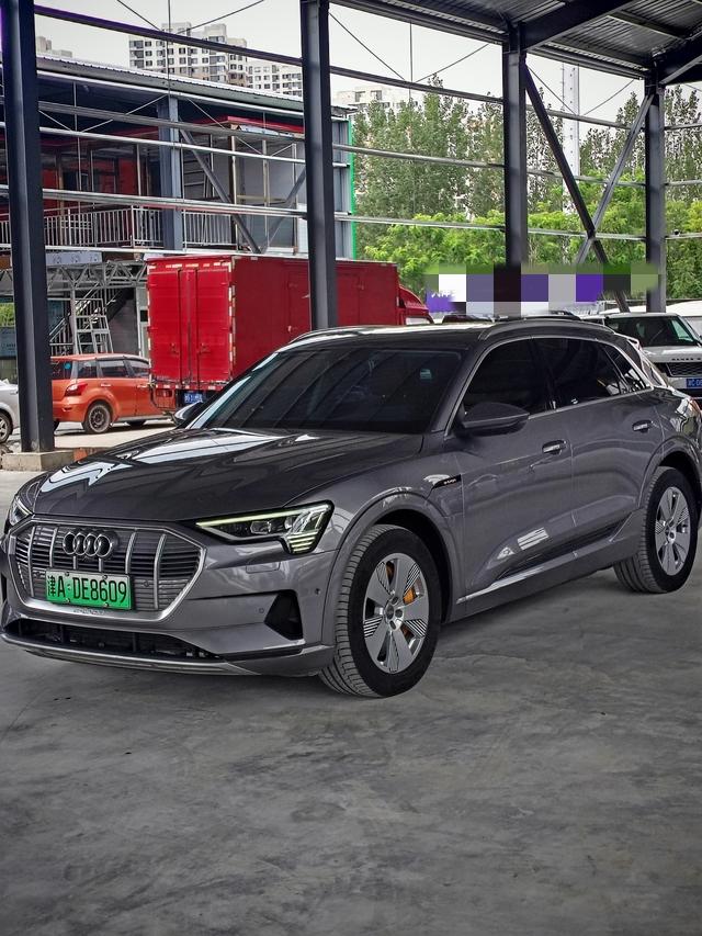 Audi e-tron (import) 2019 55 quattro stylish