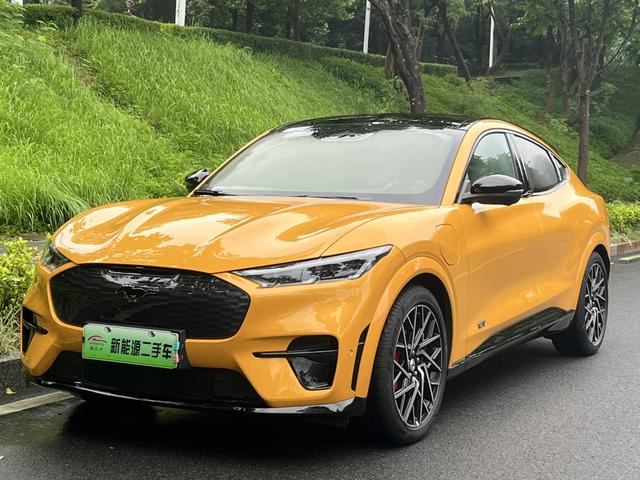 Ford Electric Horse 2024 GT Version