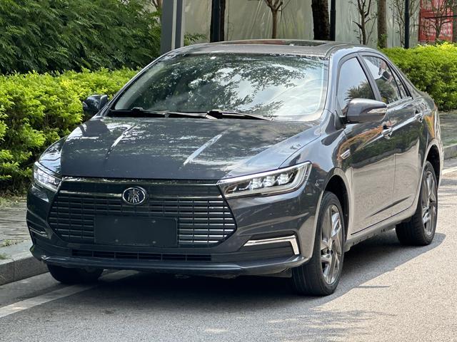 Qin EV 2020 High Range Premium Model