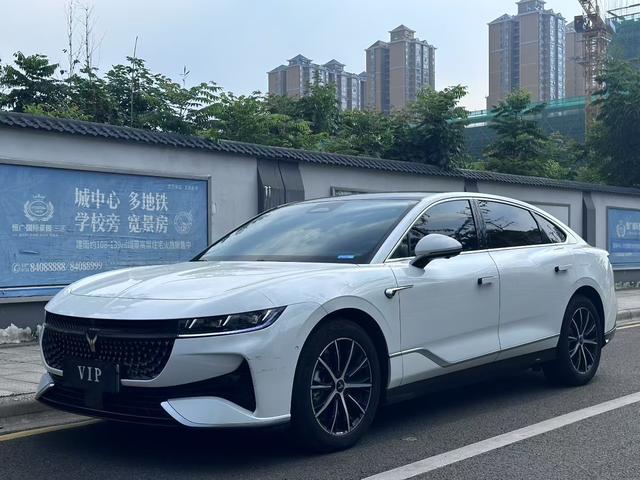 Arcturus Chase PHEV 2024 Ultra Long Range 4WD Executive Edition