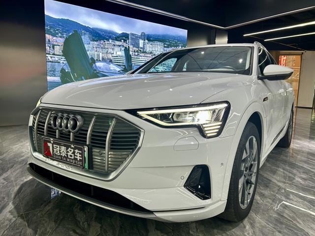 Audi e-tron (Import) 2019 55 quattro technology model year