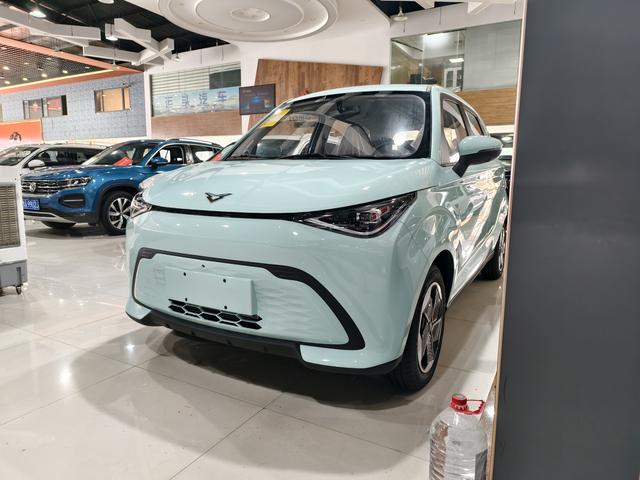 Shiyue 2026 Mate 305km Guoxuan Trailang Edition