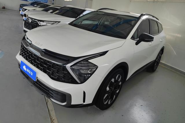Lion Platinum Tuojie 2023 2.0T Two-wheel drive Premium Edition