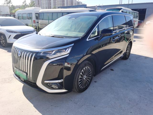 Tengshi D9 EV 2022 600 4WD Premium