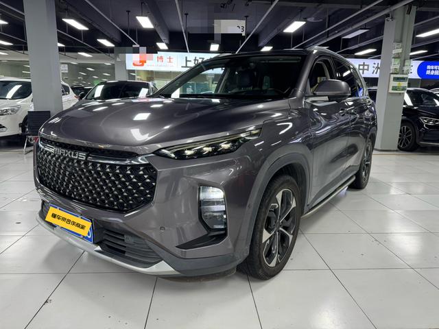 Chase D60 2019 1.5T automatic Geek full version 7 seats