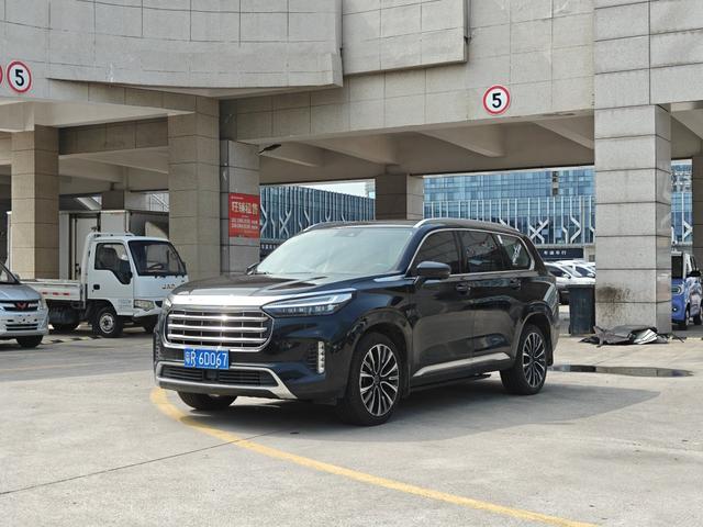 Xingtu Lanyue 2021 390T two-wheel drive Xingrui Edition