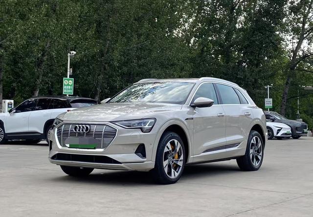 Audi e-tron (Import) 2019 55 quattro technology model year