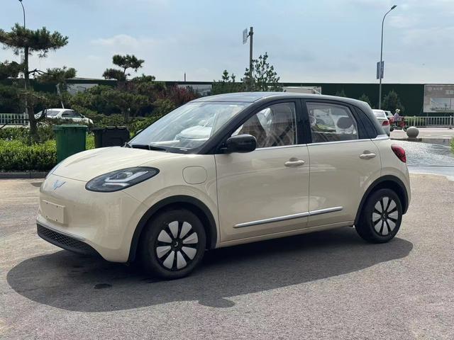 Wuling Bingguo 2025 Model 333KM Yuexiang Model