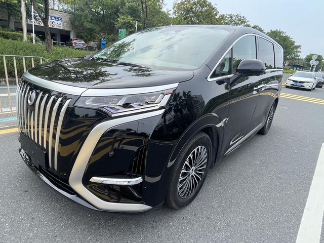 Tengshi D9 EV 2022 600 4WD Premium