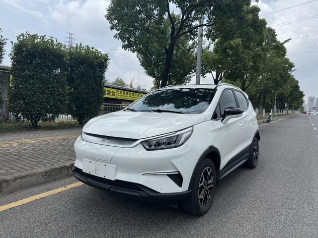 Yuan Pro 2021 401KM Premium