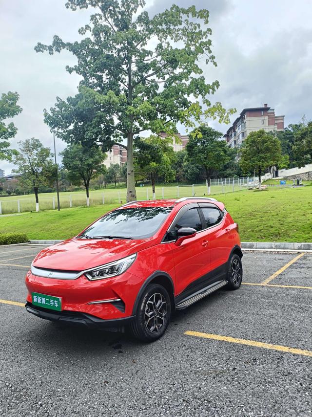 Yuan Pro 2021 One Life Edition