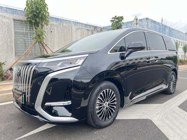 Denza D9 EV 2024 model 620 two-wheel drive exclusive type