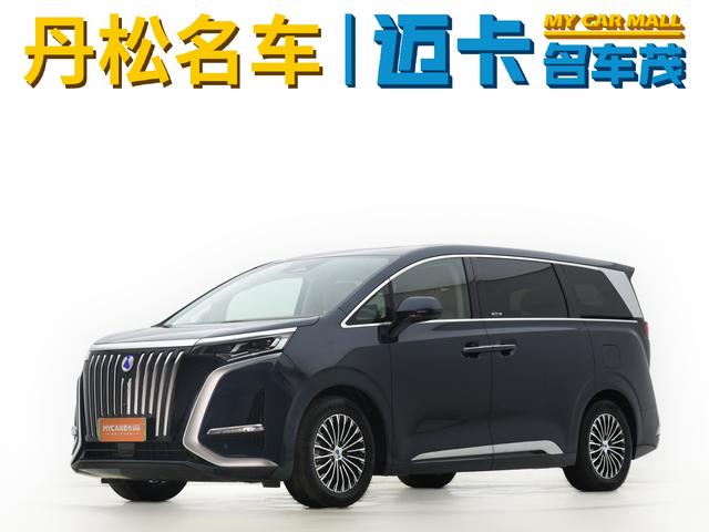 Tengsten D9 EV 2022 600 4WD Flagship