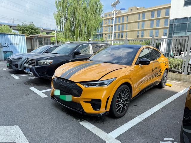 Ford Electric Horse 2024 GT Version