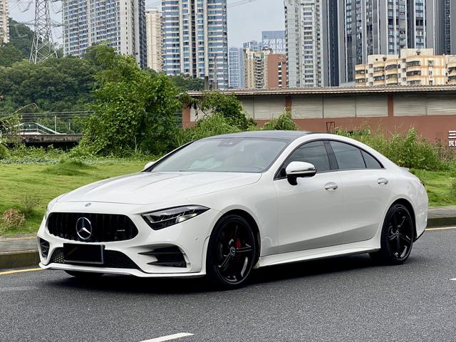 Mercedes-Benz CLS 2020 CLS 300 Luxury