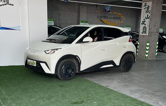 Seagull 2024 Glory Edition 305KM Vitality Edition