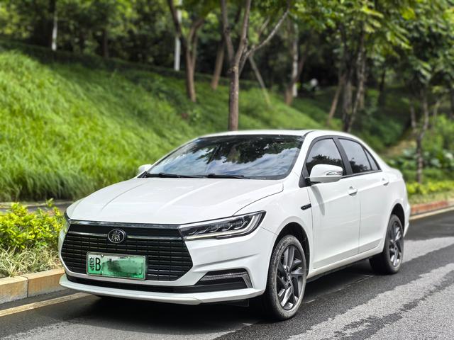 Qin EV 2020 High Range Premium Model