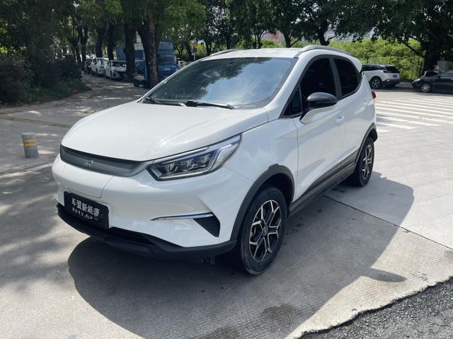 Yuan Pro 2021 401KM Deluxe