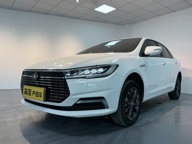Qin EV 2024 Standard Edition 450