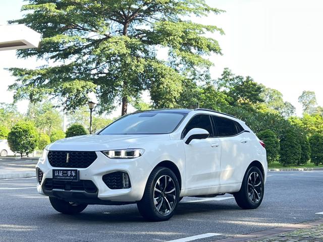 Wei brand VV5 2019 upgraded 2.0T two-wheel drive super luxury country VI