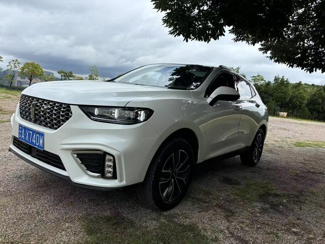 Wei brand VV5 2020 1.5T Smart Pioneer