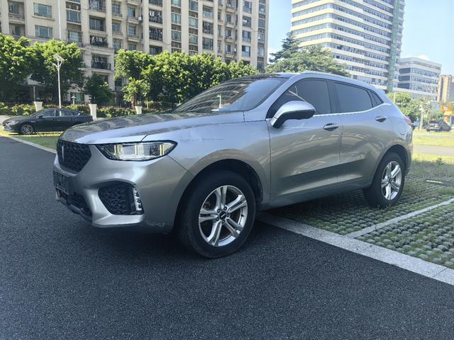Wei brand VV5 2019 1.5T two-wheel drive Yan Pioneer