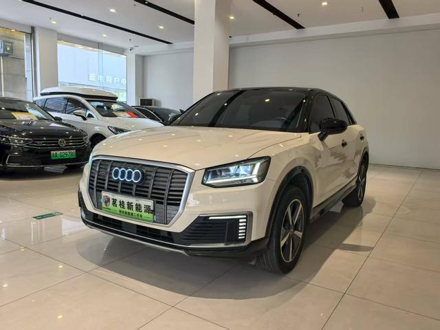 Audi Q2L e-tron 2019 Pure Electric Intelligence