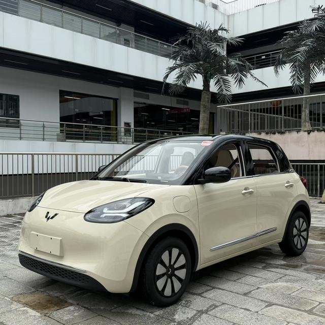 Wuling Bingguo 2025 Model 333KM Yuexiang Model