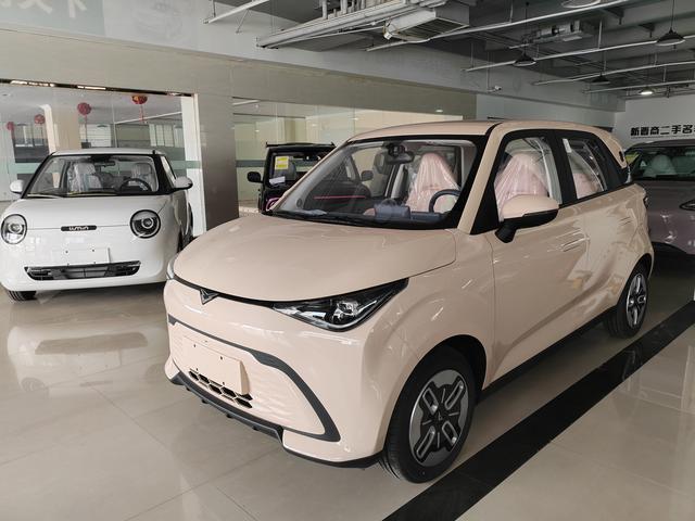Shiyue 2025 Mate 300km Trailang Version