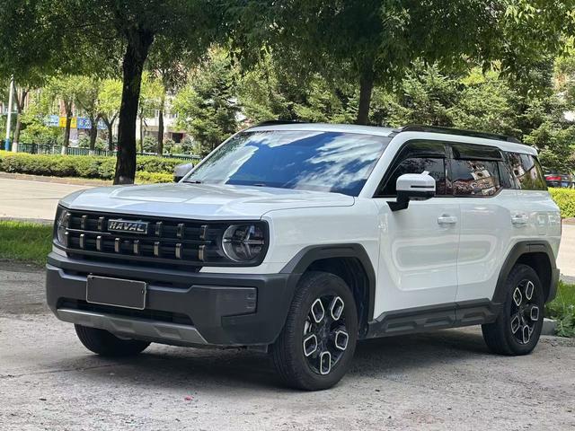 Havoc Cool Dog 2022 1.5T Tide Wild Edition