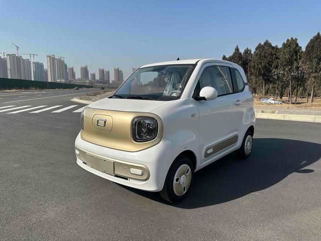 Pentium Pony 2024 222km Smart Horse