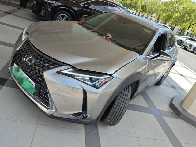 Lexus UX EV 2020 300e Pure-Enjoyment