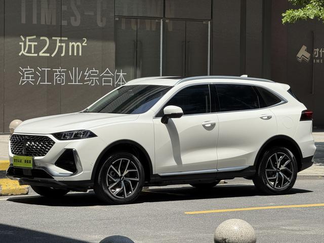Latte PHEV 2022 1.5T four-wheel drive oversized cup