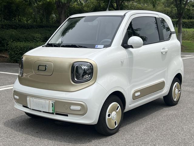 Pentium Pony 2024 222km Lightning Horse