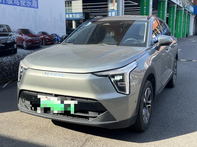 Havalon 2023 1.5L 110km Pilot Edition