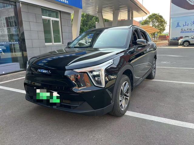 Havalon 2023 1.5L 110km Pilot Edition
