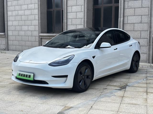 Model 3 2021 Standard Range Rear Drive Upgrade 3D6