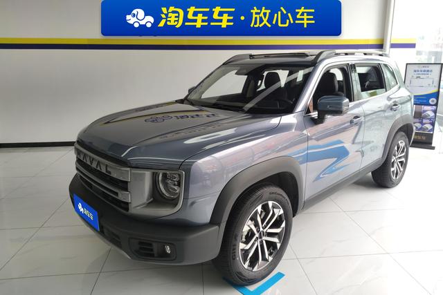 Havoc Big Dog 2024 1.5T 2WD Border Ranch Edition