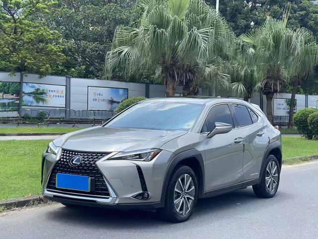 Lexus UX EV 2020 300e Pure-Joy