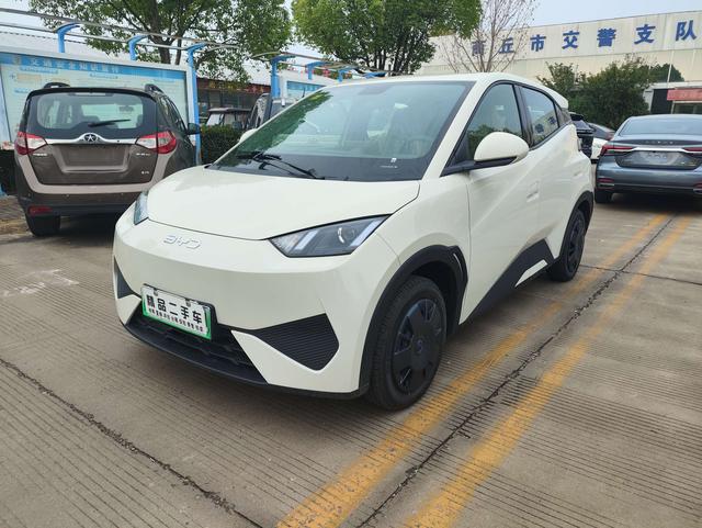 Seagull 2025 305KM Vitality Edition