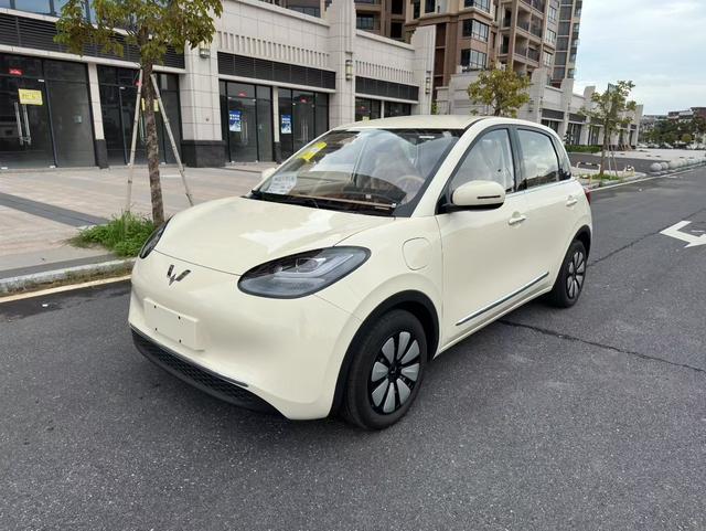 Wuling Bingguo 2025 Model 333KM Yuexiang Model