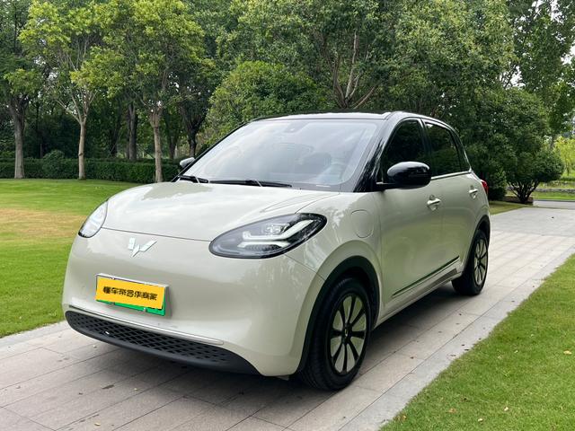 Wuling Colorado 2023 333KM Master Mind Connection+