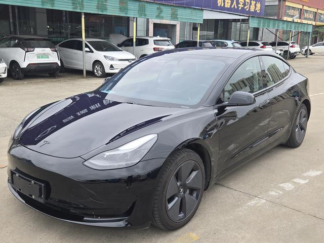 Model 3 2021 Standard Range Rear Drive Upgrade