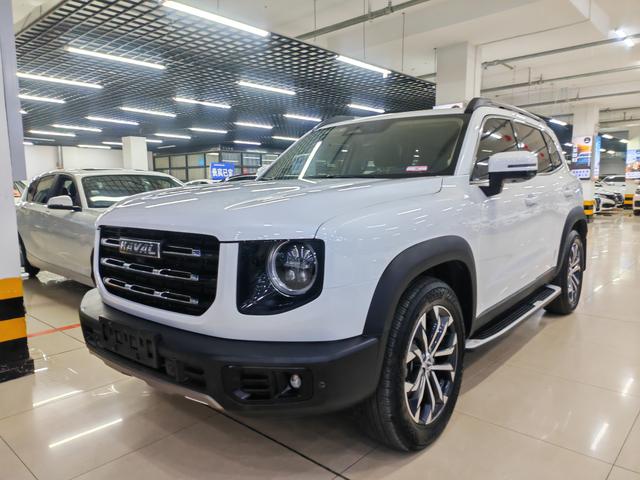 Havoc Big Dog 2022 1.5T 2WD Border Ranch Edition