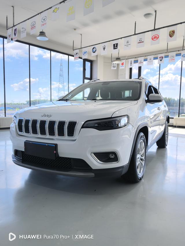 Free Light 2019 2.0T two-wheel drive Smart edition Country V