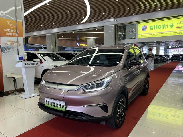 Yuan Pro 2023 401KM Deluxe