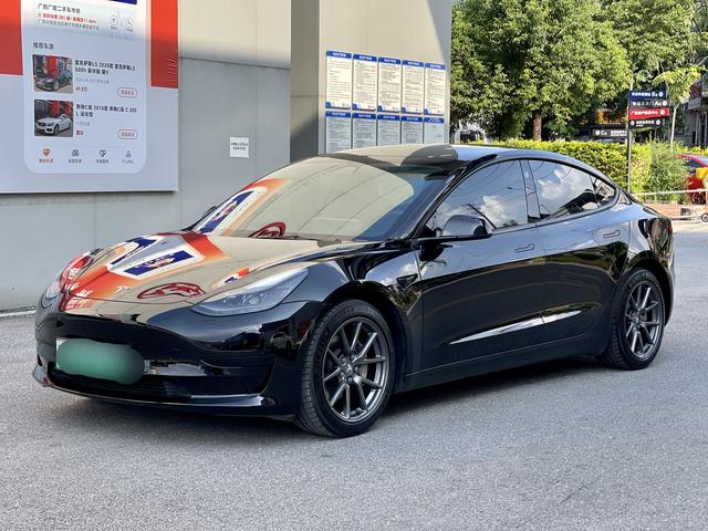 Model 3 2021 Standard Range Rear Drive Upgrade 3D6
